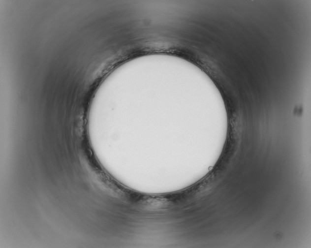 X0000113210642200910221103