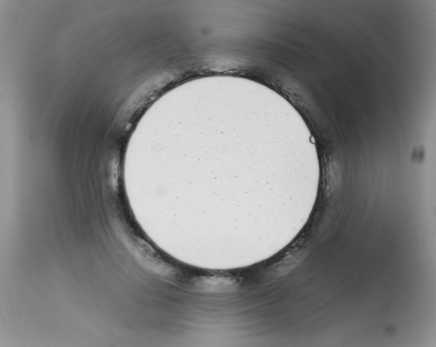 X0000113210644200910221103