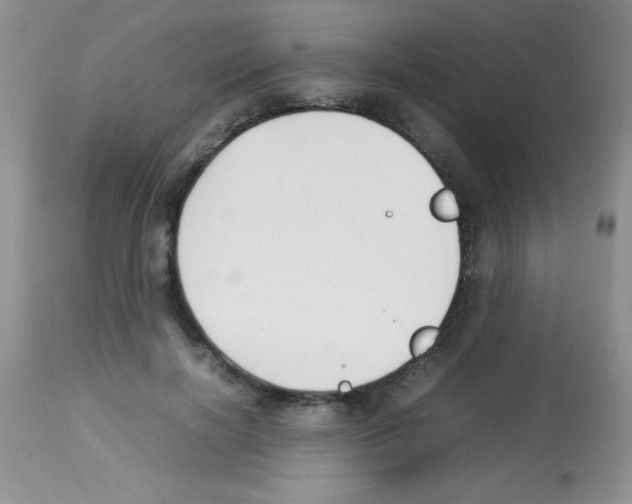 X0000113210646200910221103