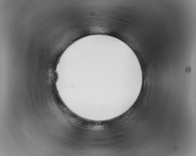 X0000113210647200910221104