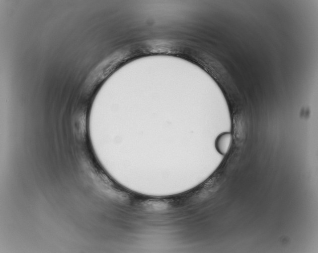 X0000113210648200910221104