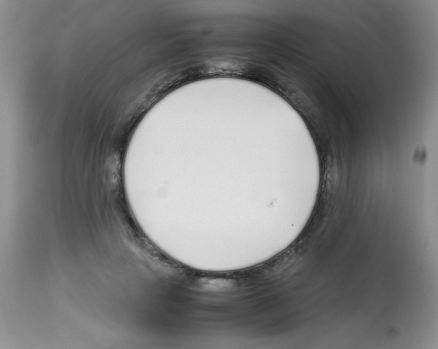 X0000113210649200910221104