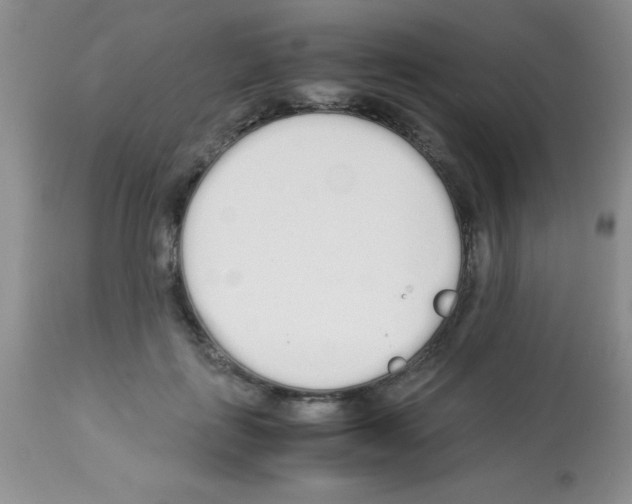 X0000113210651200910221104