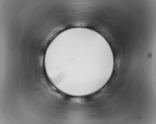 X0000113210652200910221104