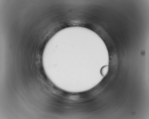 X0000113210653200910221104