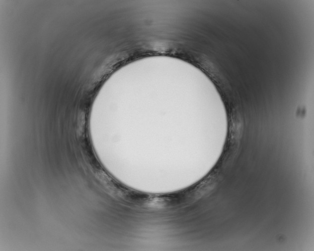 X0000113210656200910221104