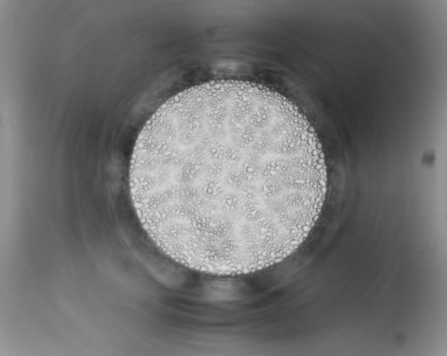 X0000113210659200910221104