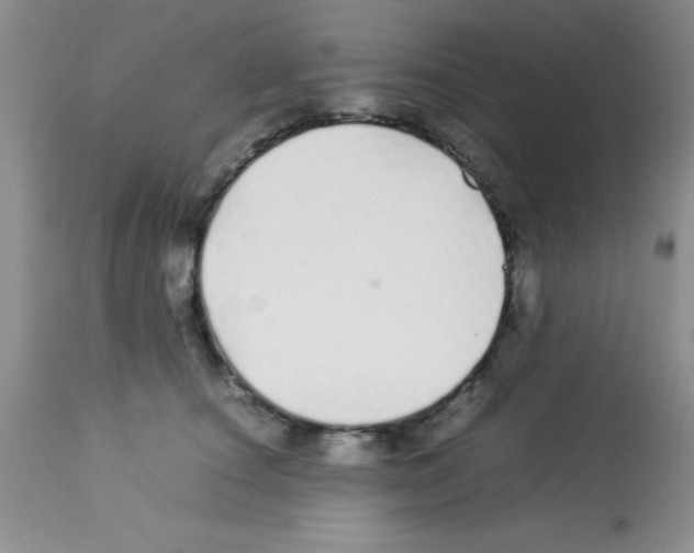 X0000113210660200910221104