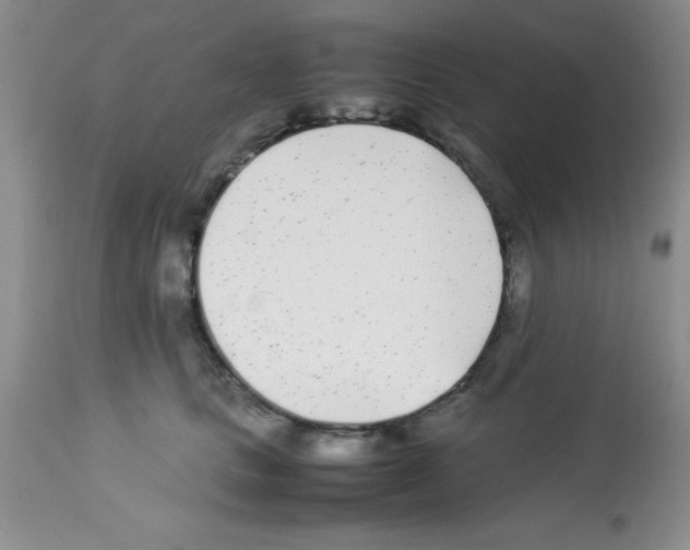 X0000113210661200910221104