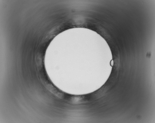 X0000113210662200910221104