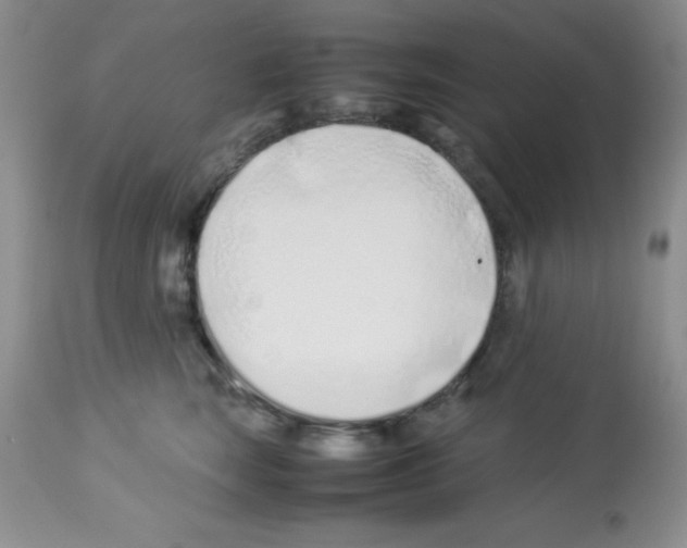 X0000113210663200910221104