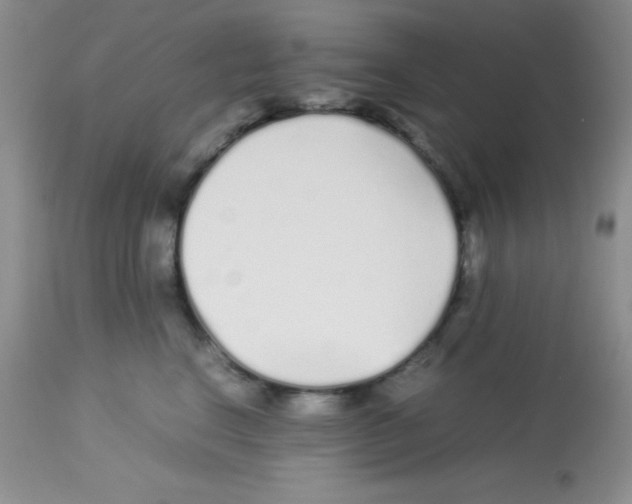 X0000113210664200910221104