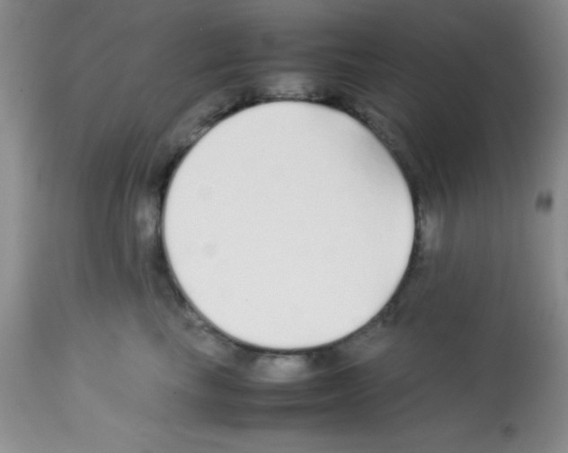 X0000113210665200910221104