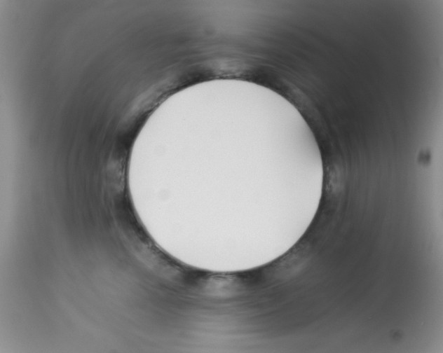 X0000113210666200910221104