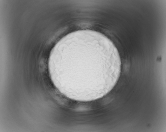 X0000113210667200910221104