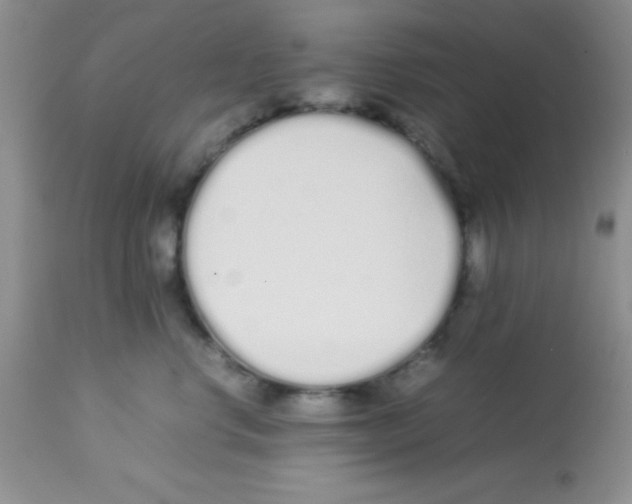 X0000113210668200910221104