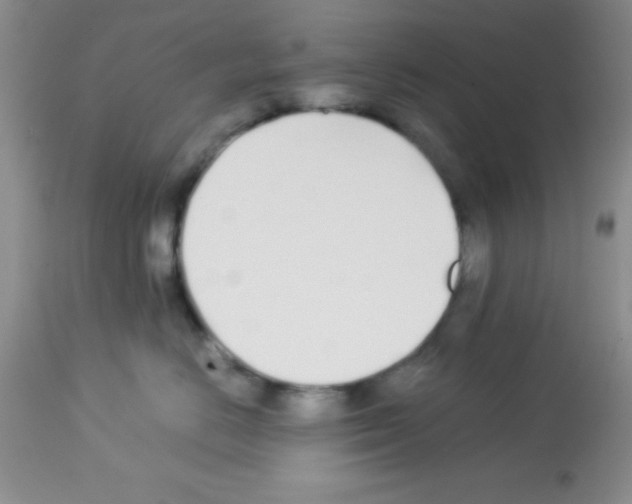 X0000113210670200910221104