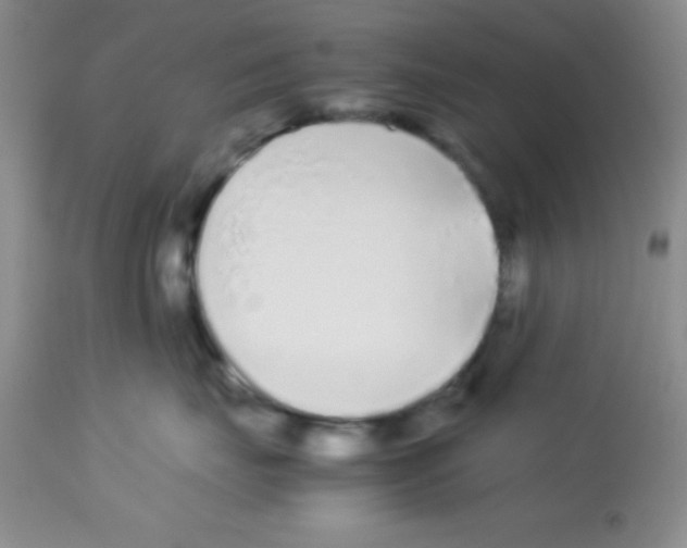 X0000113210671200910221104