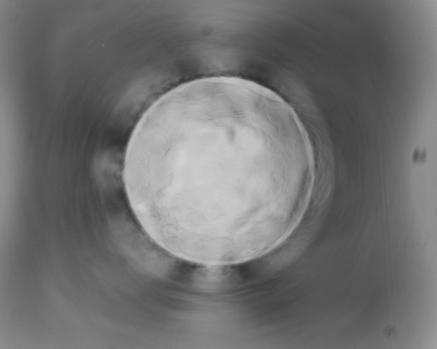 X0000113210672200910221104