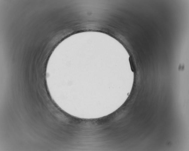 X0000113210673200910221103