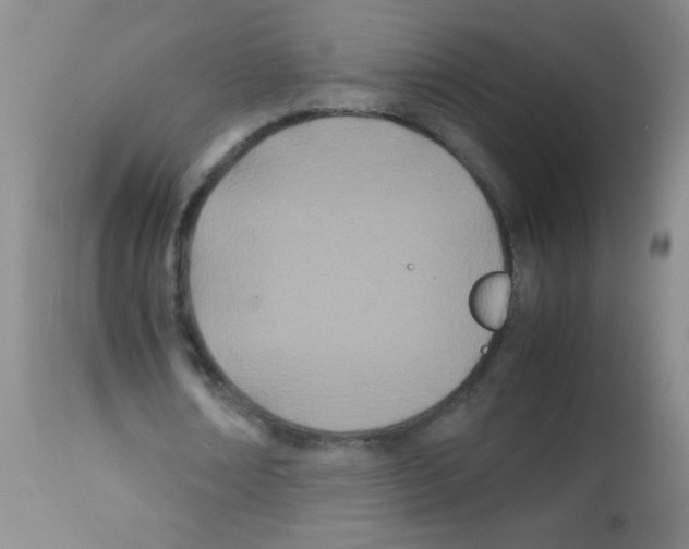 X0000113210674200910221103