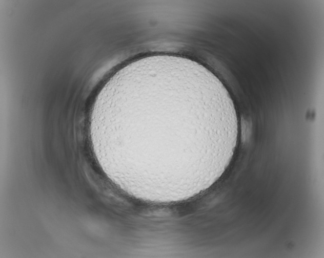 X0000113210675200910221103