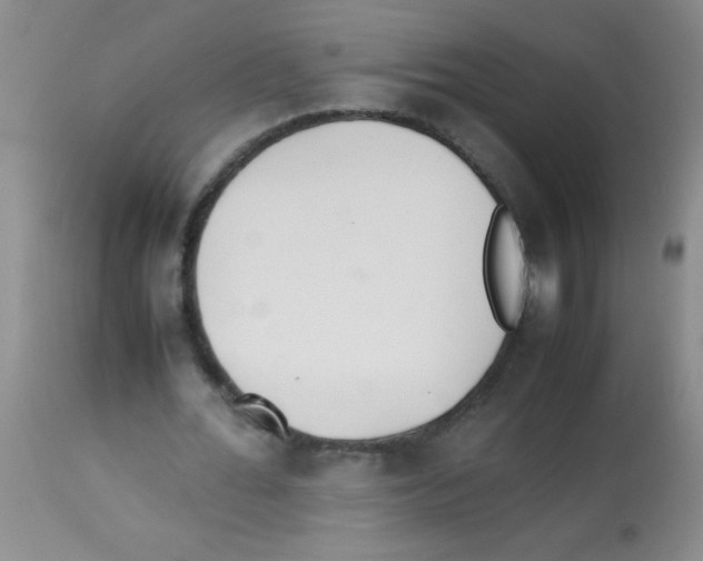 X0000113210676200910221103