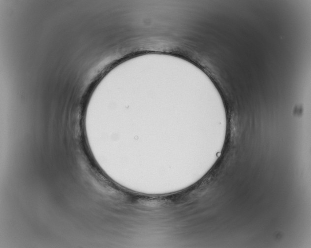 X0000113210679200910221103