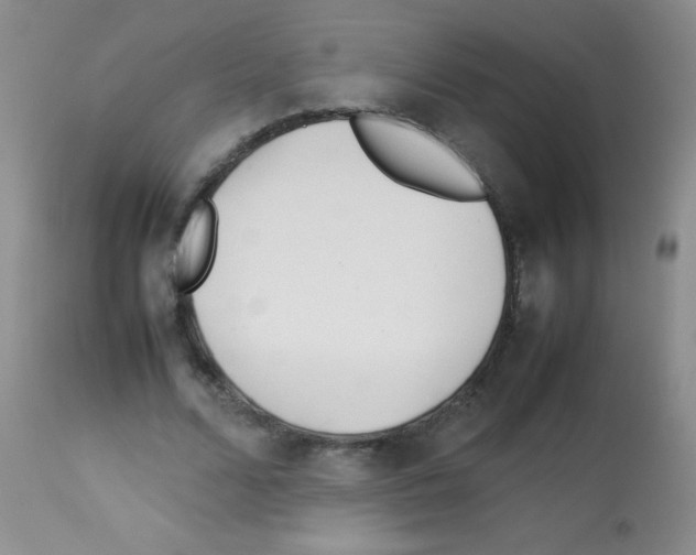 X0000113210680200910221103