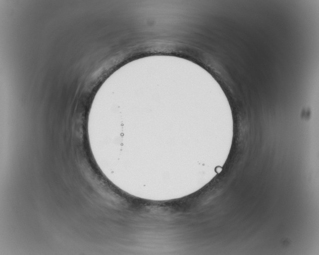 X0000113210681200910221103