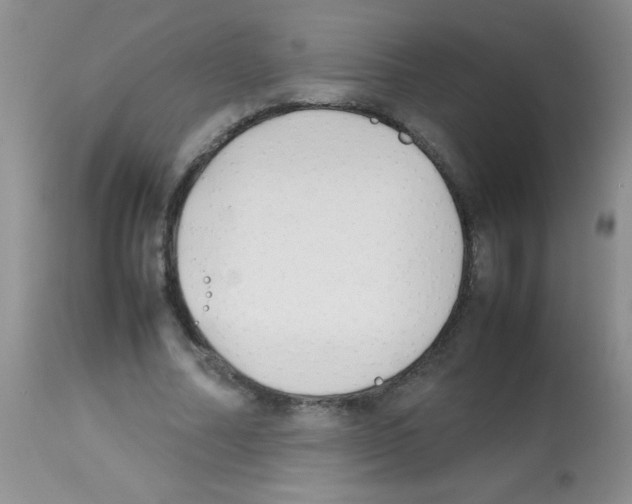 X0000113210682200910221103