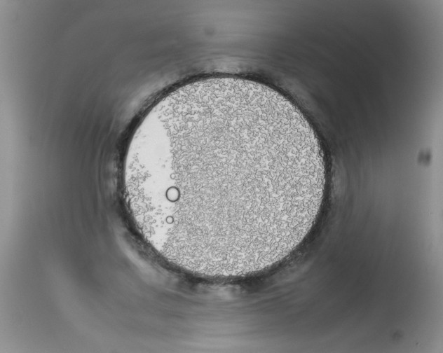 X0000113210683200910221103