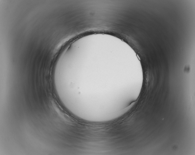 X0000113210684200910221103