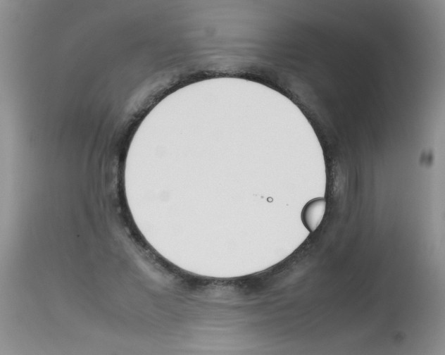 X0000113210685200910221103