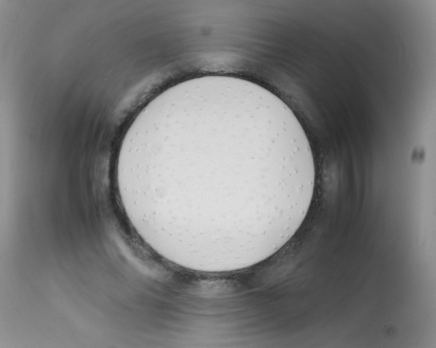 X0000113210686200910221103