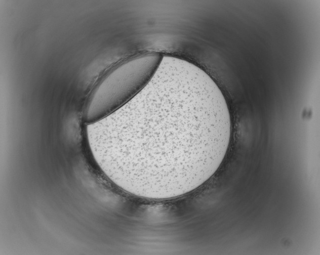 X0000113210688200910221103