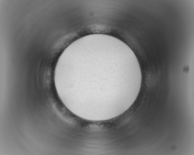 X0000113210690200910221103