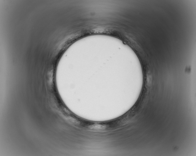 X0000113210691200910221103