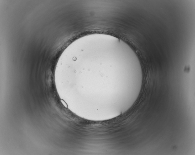 X0000113210692200910221103