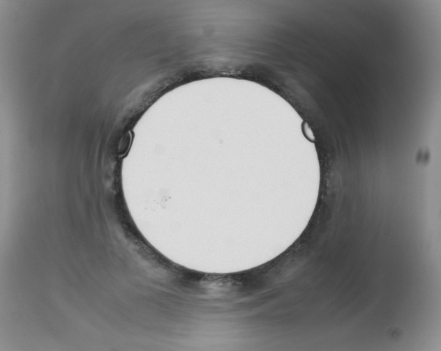 X0000113210693200910221103