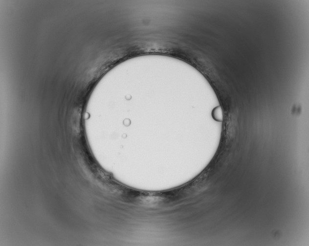 X0000113210695200910221103