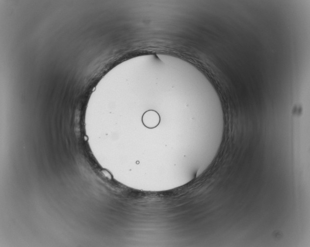 X0000113210696200910221103