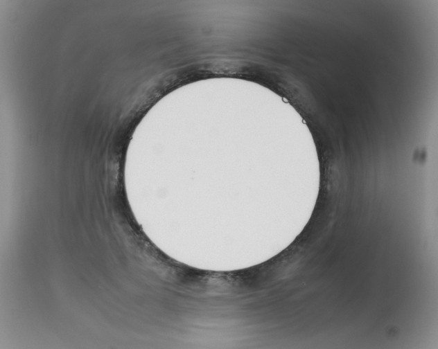 X0000113210697200910221103