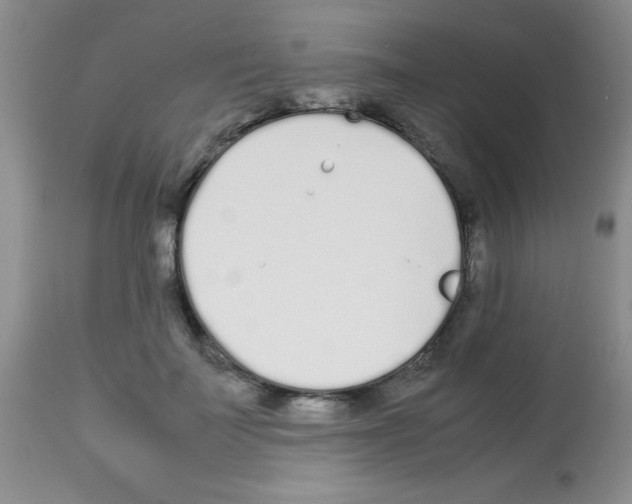 X0000113210699200910221103