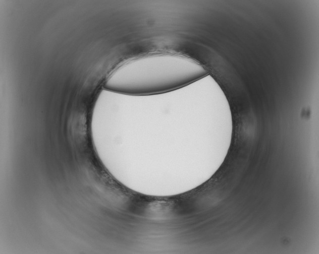 X0000113210700200910221103