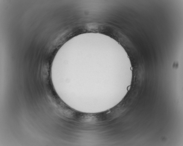 X0000113210702200910221103