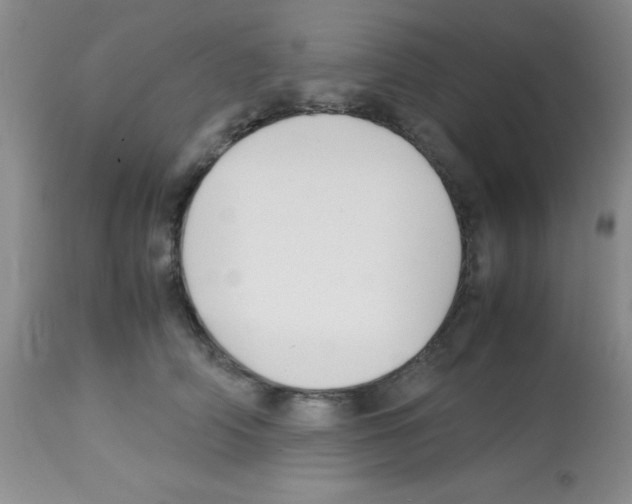 X0000113210706200910221103