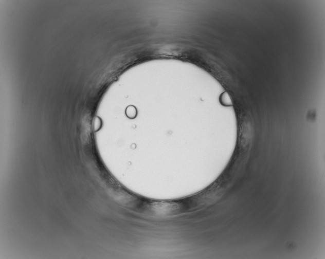 X0000113210707200910221103