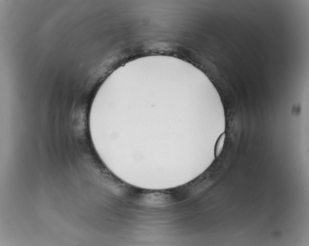 X0000113210708200910221103