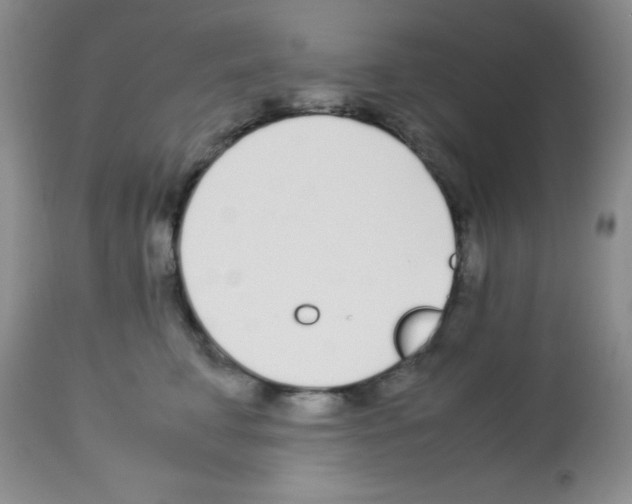 X0000113210711200910221103